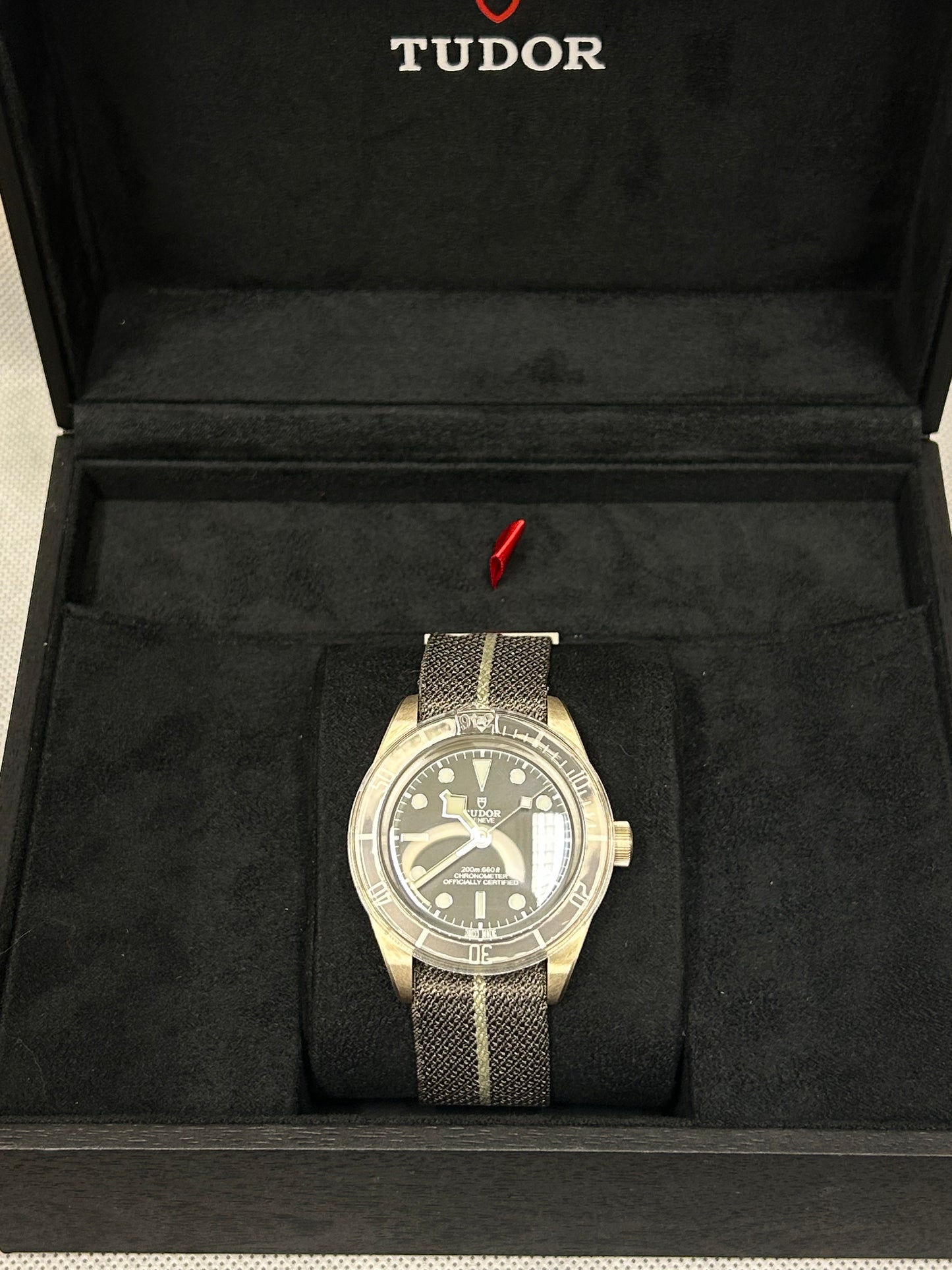 Tudor Black Bay 58 925 Silver - Grey Market